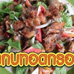 ยำกบ  ทอด