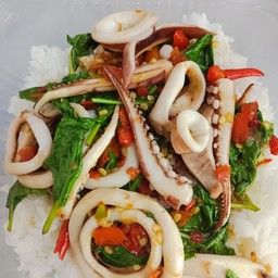 ข้าวกะเพราปลาหมึก