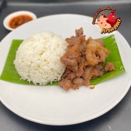 ข้าวสวยหมูทอด