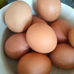 ไข่ต้ม (ฟองละ)