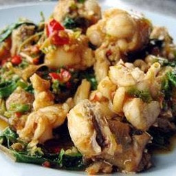 กะเพรากบ