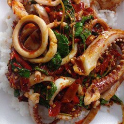 กระเพราโจรปลาหมึก ราดข้าว