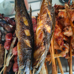 ปลาดุกย่าง