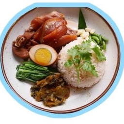 ไดโนเสาร์ข้าวขาหมู