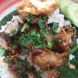 ข้าวคะน้าหมูกรอบ