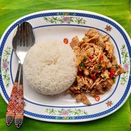 [อร่อยซ่ากับโค้ก] ผัดพริกเกลือ +  โค้ก ออริจินัล (กระป๋อง)