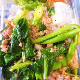 ผัดคะน้าราดข้าว