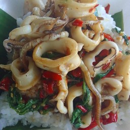 กะเพราปลาหมึกราดข้าว