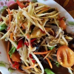 กะเพรา ราดข้าว
