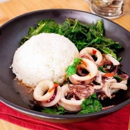 ข้าวราดกระเพราปลาหมึกล้วน