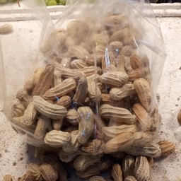 ถั่วลิสงต้ม