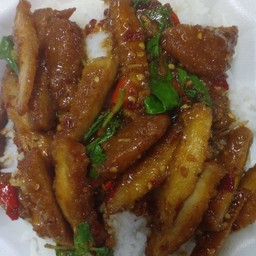 กระเพราโจรไก่กรอบ ราดข้าว