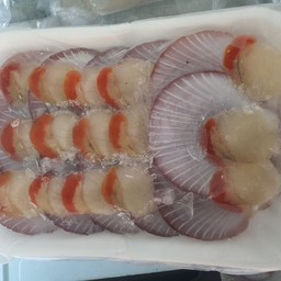 หอยเชลล์สด