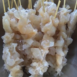 แมงกะพรุนพ่นไฟ