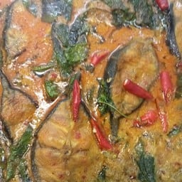 ผัดเผ็ดปลาดุกใบยี่หร่า