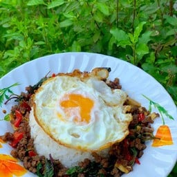 ราชากระเพรา กังสดาล