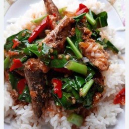 ข้าวราดคะน้าปลากระป๋อง