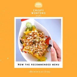 Crispy Wonton With Spicy Salad