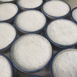 ขนมถ้วย