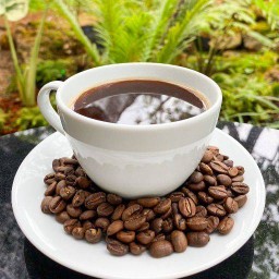 Hot  Americano (อเมริกาโน ร้อน)