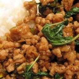 กระเพายายอร