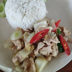 เตี๋ยวในสวนอัญญ่าคอฟฟี่