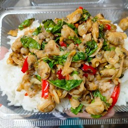 ข้าวกะเพราหอยลาย