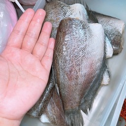 ปลาสลิดทอดตัวใหญ่ 1 ตัว