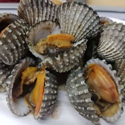 หอยแครงลวก1จาน
