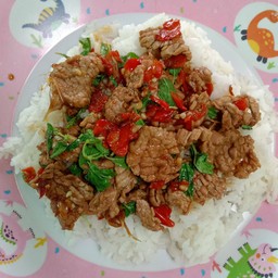 ผัดกระเพรา ราดข้าว