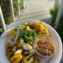 หนวด สาย + คอหมึก