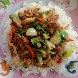ผัดเผ็ดราดข้าว