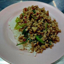 ข้าวกระเพราหมูสับ