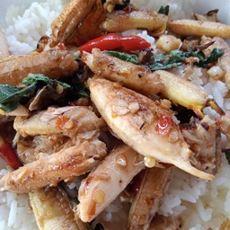 กระเพราปูราดข้าว