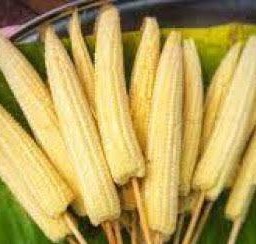 ข้าวโพดอ่อน