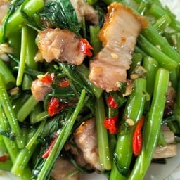 ครัวสุพรรณ อาหารตามสั่ง อาหารป่า