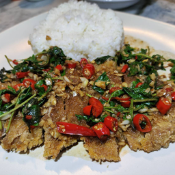 ข้าวกะเพราทงคัตสึ