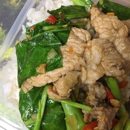 ผัดคะน้าหมูชิ้นราดข้าว