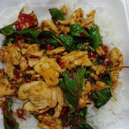 กระเพราไก่สด ราดข้าว
