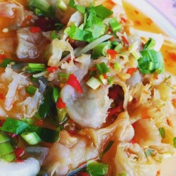 ยำแมงกะพรุน