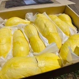 ร้านทุเรียน น้องณคุณ