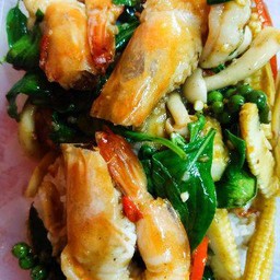 ผัดขี้เมาราดข้าว