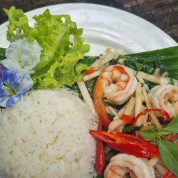 ข้าว กุ้งผัดพริกขี้หนูสวนยอดมะพร้าว