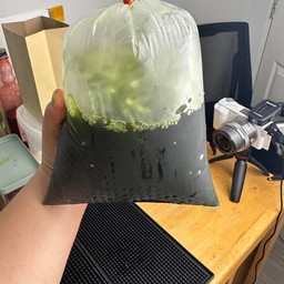 ชาเขียวมะนาว ใส่ถุง