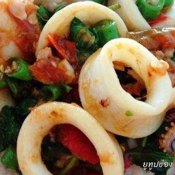 กระเพราหมึกลาดข้าว