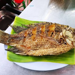 ปลานิล เลี้ยงกระชัง ของ ซี พี