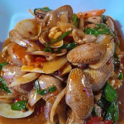 ผัดหอยลาย