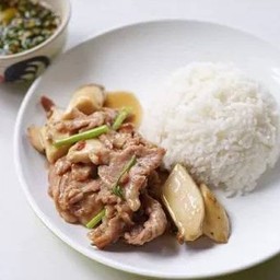ผัดน้ำมันหอย