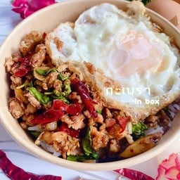 กะเพรา In box