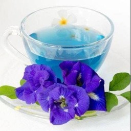 ชาอัญชันน้ำผึ้งมะนาวร้อน